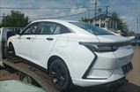 DONGFENG SHINE