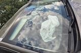 GEELY ATLAS PRO