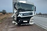 MAN TGX