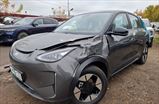 Годные остатки Geely EX2
