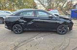DONGFENG SHINE
