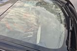 DONGFENG SHINE